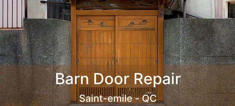 Barn Door Repair Saint-emile - QC