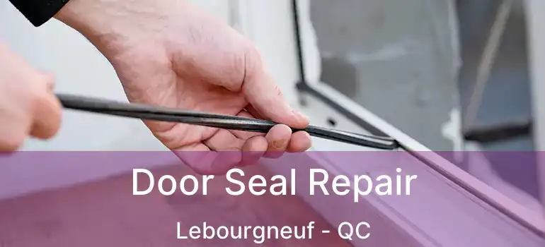 Door Seal Repair Lebourgneuf - QC