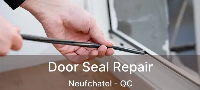 Door Seal Repair Neufchatel - QC