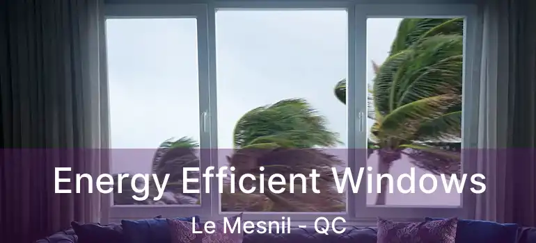 Energy Efficient Windows Le Mesnil - QC