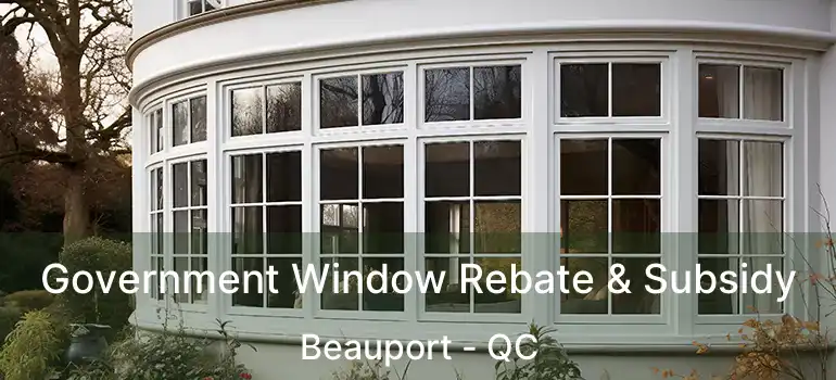 Government Window Rebate & Subsidy Beauport - QC