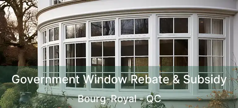 Government Window Rebate & Subsidy Bourg-Royal - QC