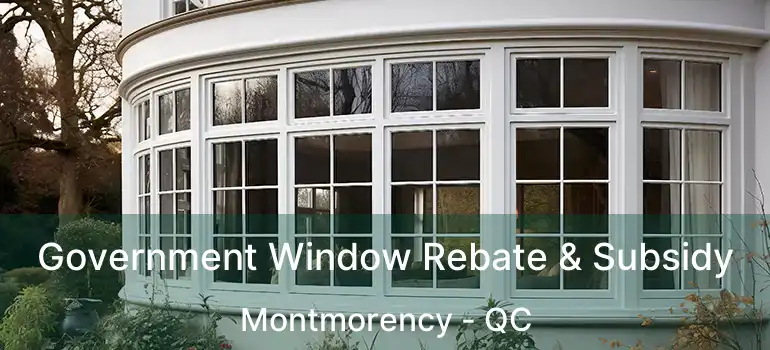 Government Window Rebate & Subsidy Montmorency - QC