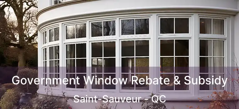 Government Window Rebate & Subsidy Saint-Sauveur - QC