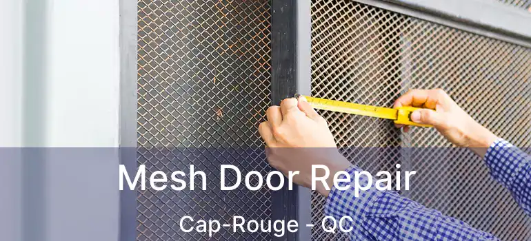 Mesh Door Repair Cap-Rouge - QC