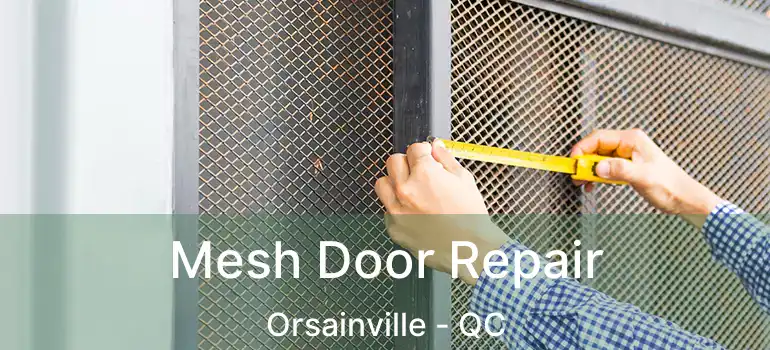 Mesh Door Repair Orsainville - QC