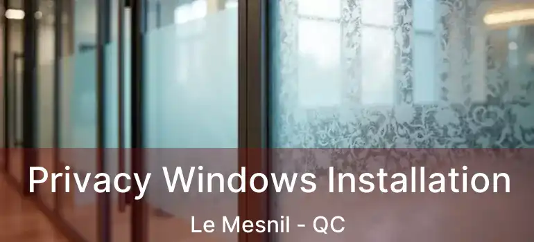 Privacy Windows Installation Le Mesnil - QC