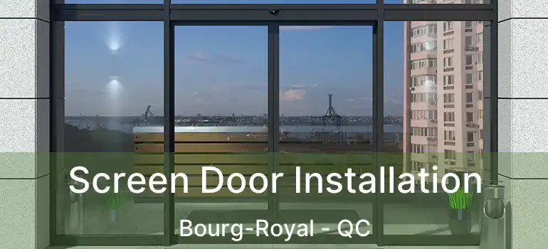 Screen Door Installation Bourg-Royal - QC
