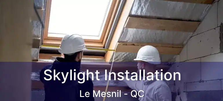 Skylight Installation Le Mesnil - QC