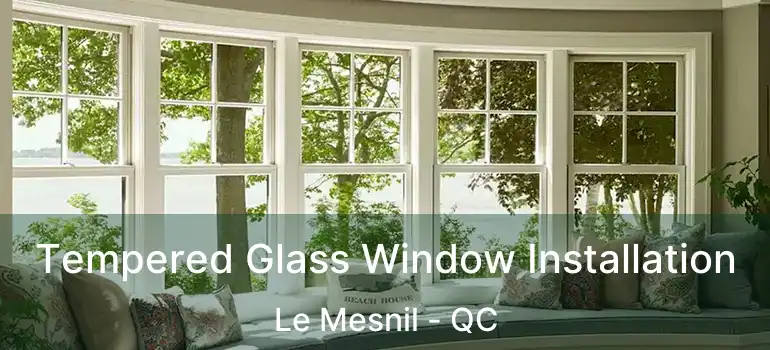 Tempered Glass Window Installation Le Mesnil - QC