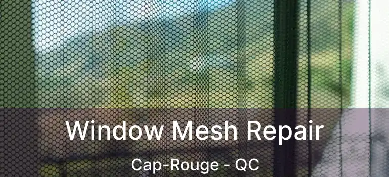 Window Mesh Repair Cap-Rouge - QC