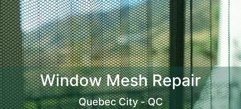 Window Mesh Repair Quebec City - QC