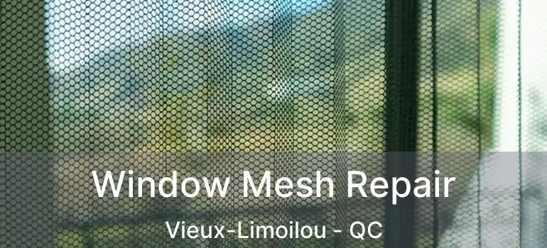 Window Mesh Repair Vieux-Limoilou - QC