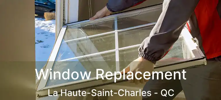 Window Replacement La Haute-Saint-Charles - QC