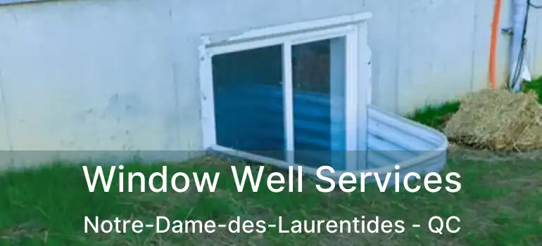 Window Well Services Notre-Dame-des-Laurentides - QC