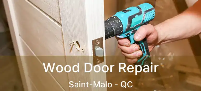  Wood Door Repair Saint-Malo - QC